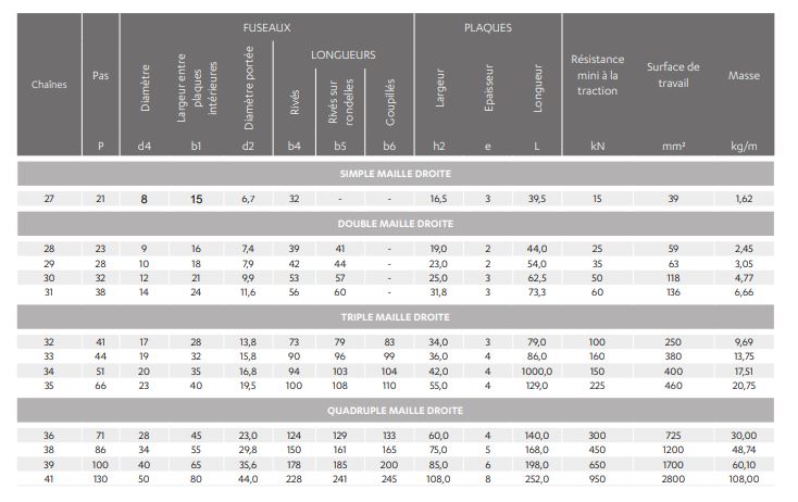 Chaînes Galle à plaques droites idéale pour la manutention - SERIE FRANÇAISE_2