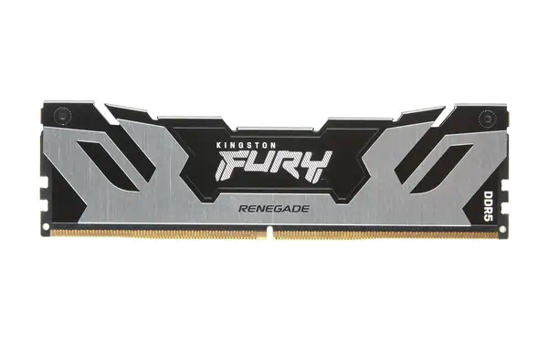 DIMM DDR5 CL32 32 Go 6 400 MT/s (kit de 2) FURY Renegade Argent_2