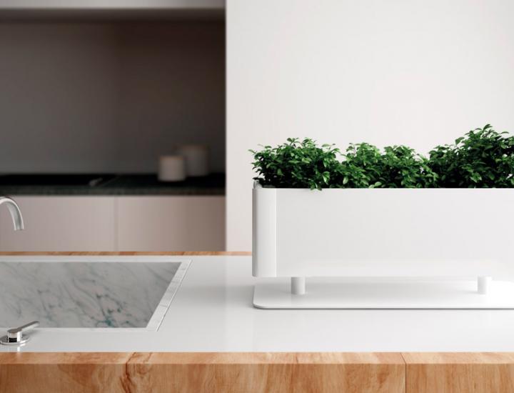 Pot de fleur green light - ref : green light_cbl_2