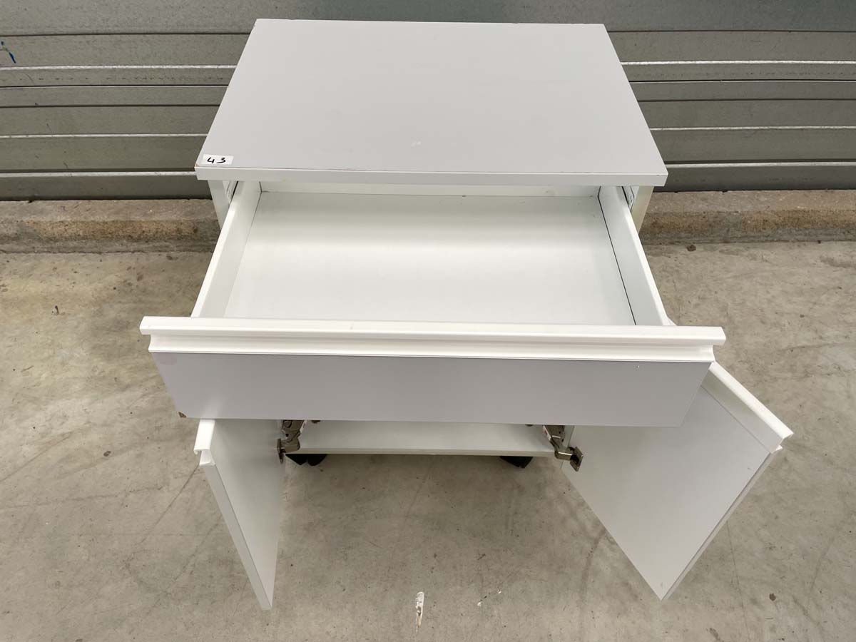 Meuble sous paillasse d'occasion de laboratoire - type caisson placard + 1 tiroir - p21091194_2