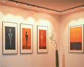 Spot LED 3W 12V GU5.3 - Haute luminosité Bridgelux - Équivalent 40W, 3500K_2