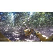 Shockwave Monoboom série VI - Vibreur arboricole OMC - Flèche standard 10 pieds ou 12 pieds en option - Tête d'agitation Magnum R-3 ou R-4_2