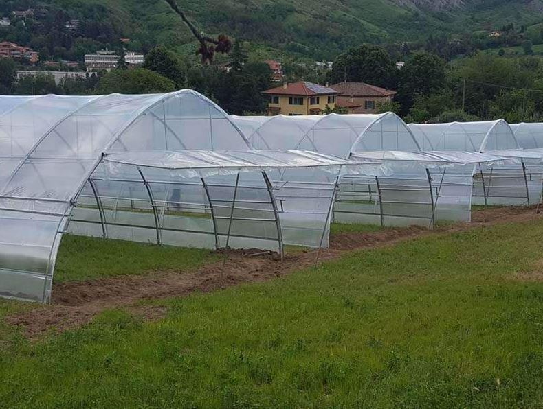 Serre à travée unique  idéale pour les agriculteurs et les amateurs - Tunnelart_2