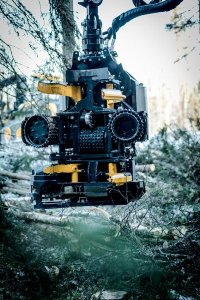 H5 - tête d'abattage Ponsse SA - poids minimum 900 kg - productivité élevée et éclaircissage efficace_2