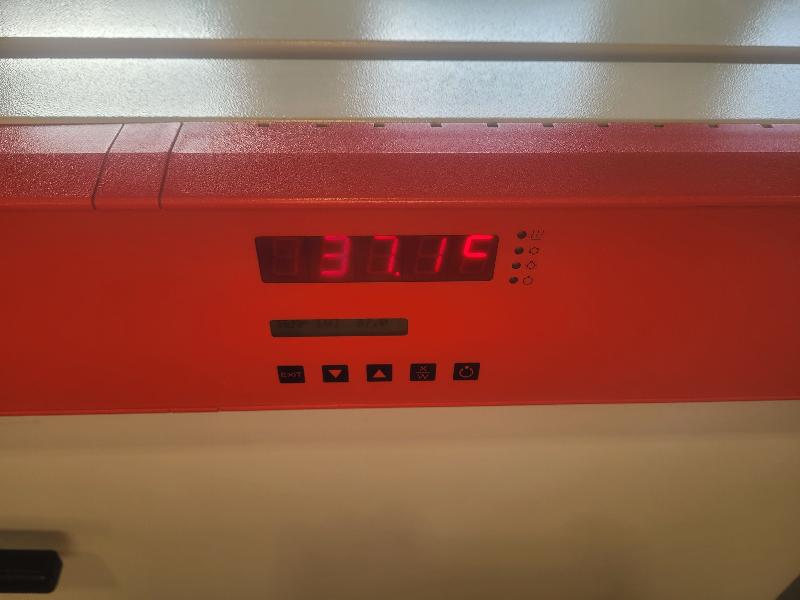 Incubateur / étuve réfrigéré BINDER KB-115 avec convection forcée 100°C_2