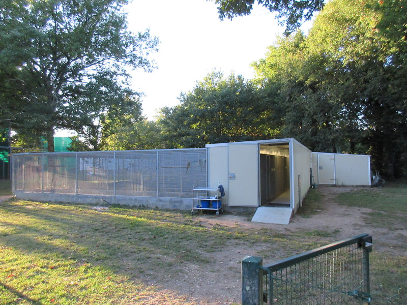 Voliere pour volaille alca torda_2