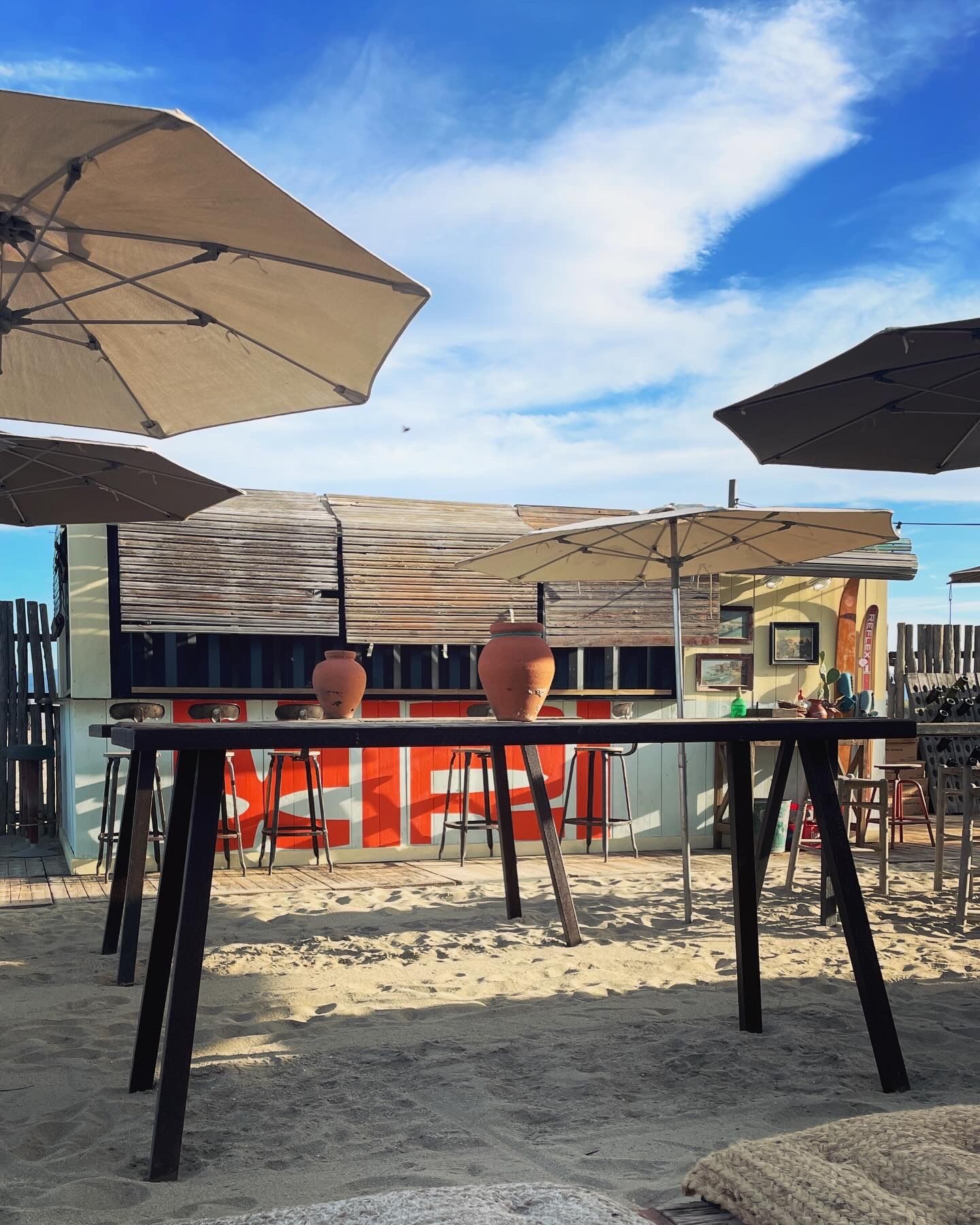 Cargo Food 20 Pieds - Bluetainer_2