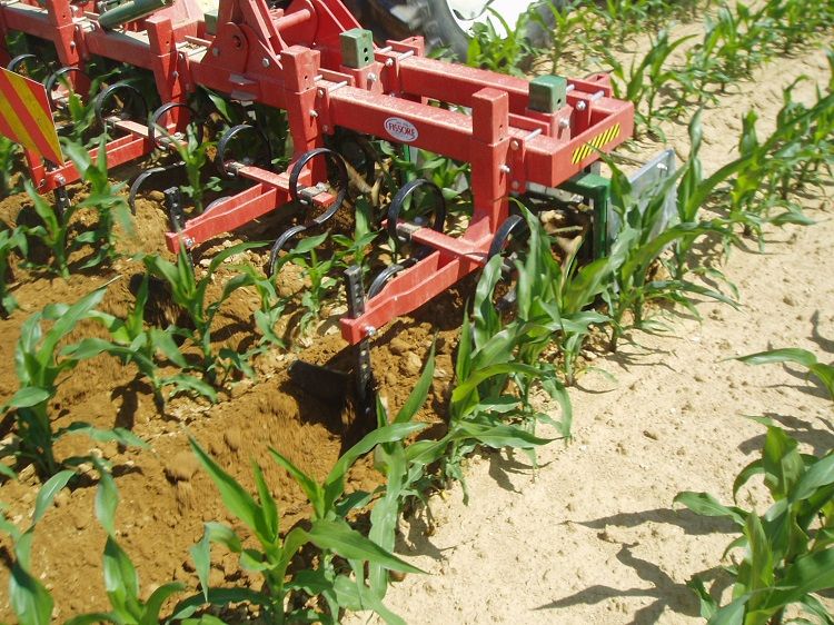 Bineuse agricole SAR.PG 3/5/7 - Fissore - Poids 710-1200 kg - Distributeur d'engrais 1000 L_2