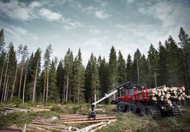 Grue forestière Komatsu 895 - 2020 - portée de 7.5m à 10m - capacité de charge 20 tonnes_2