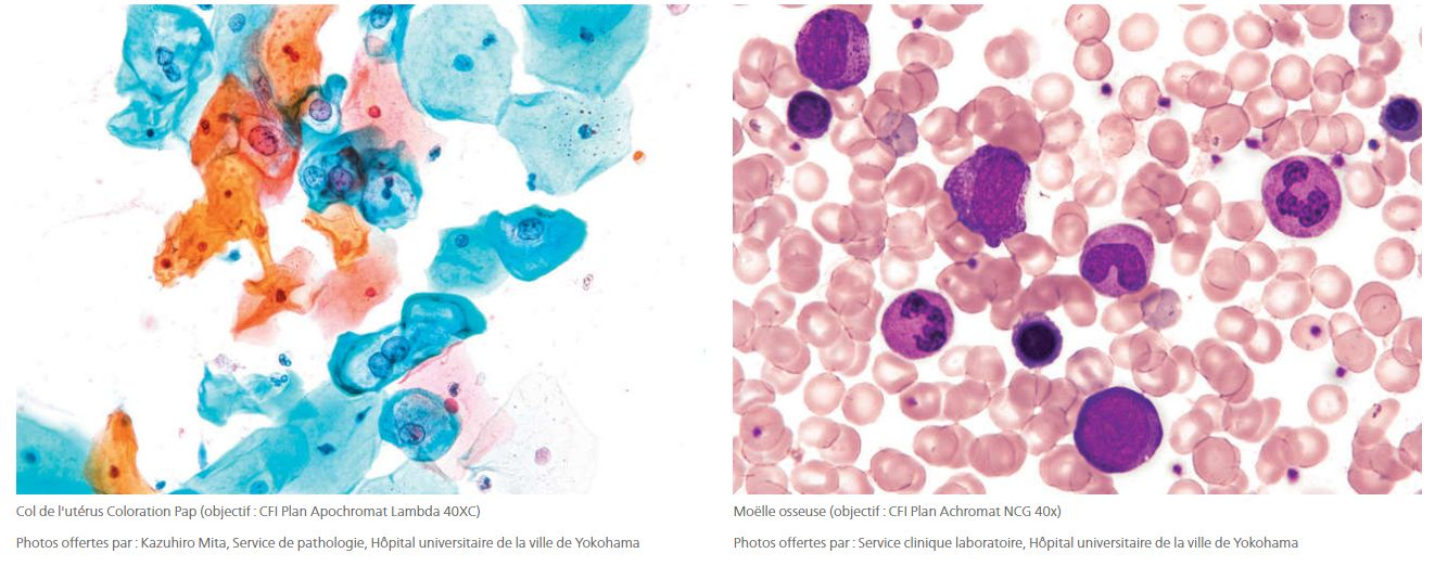 Caméra Nikon DS-Fi3 - Haute définition, haute vitesse et haute sensibilité - Capteur CMOS 5,9 MP_2