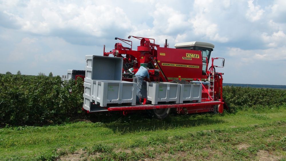 Récolteuse automotrice Victor Premium - Weremczuk - moteur Deutz 75 ch - productivité 0,3 à 0,6 ha/h_2