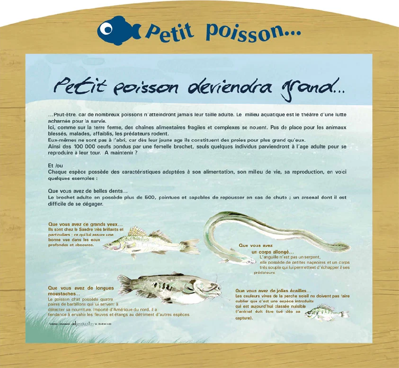 Création graphique pour la signalétique_2