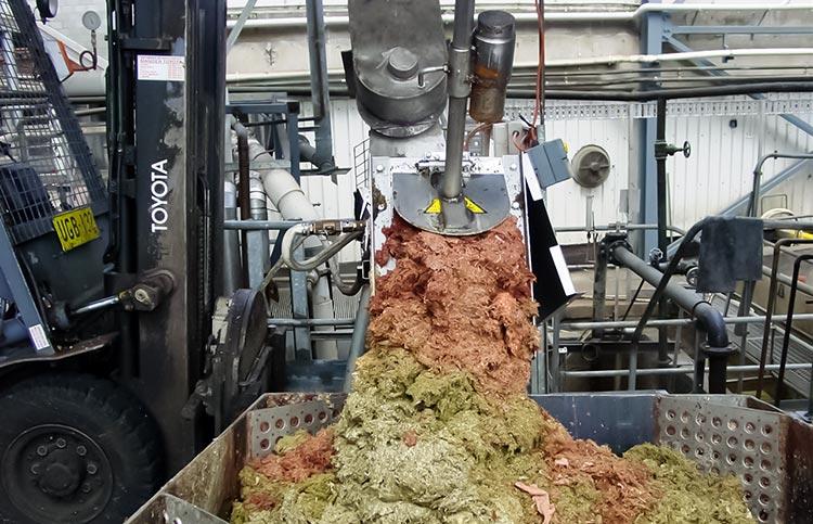 Compacteur de déchets industriels - Definitive Ecology - acier inoxydable AISI 304/316 - vis sans âme - débit jusqu'à 8 m³/h_2