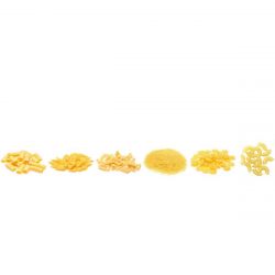 Unité de production de pâtes courtes à extrusion sous vide - RÉF. BAM01-ET_2