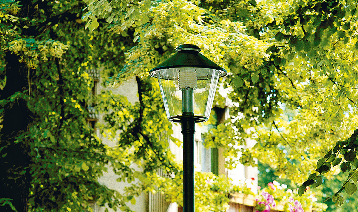 Luminaire d'élcairage public alpha / led / 5400 lm / en aluminium / hauteur conseillée 4.5 m_2
