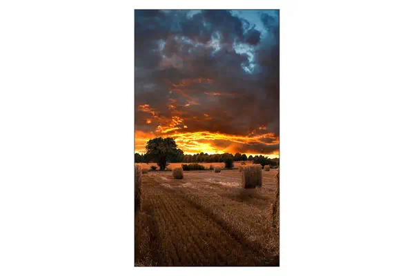 Samsung VM55B-U LED Intérieure_2