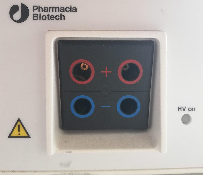 Bloc d'alimentation EPS 600 pour électrophorèse_2