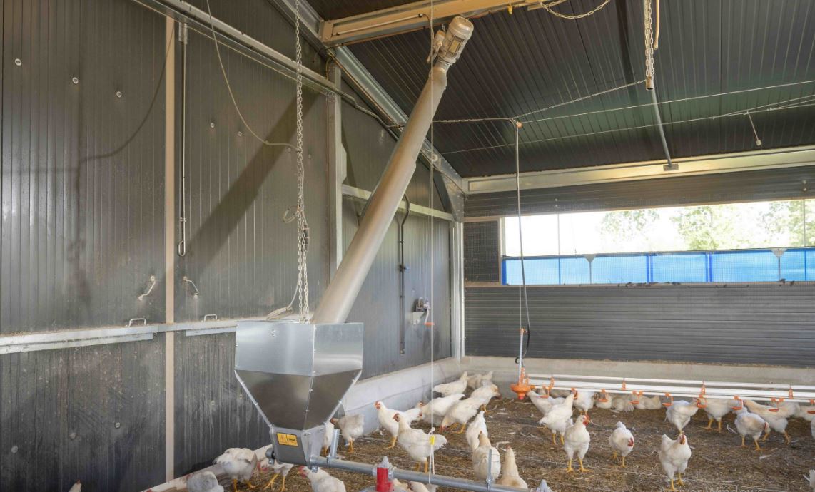 Bâtiment avicole avec équipements complets pour poulets fermiers