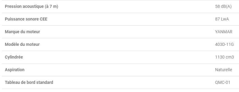 Groupe électrogène industriel SILENTSTAR 10 TYN - Worms Entreprises - Diesel 8.8 kW - 10 kVA_2