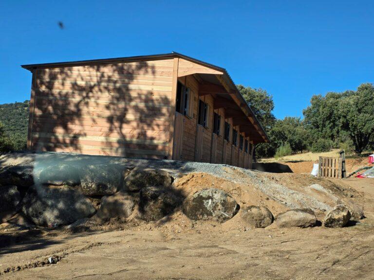 8 boxes chevaux en ligne - Douglas - BOX039 - robustesse et esthétisme_2