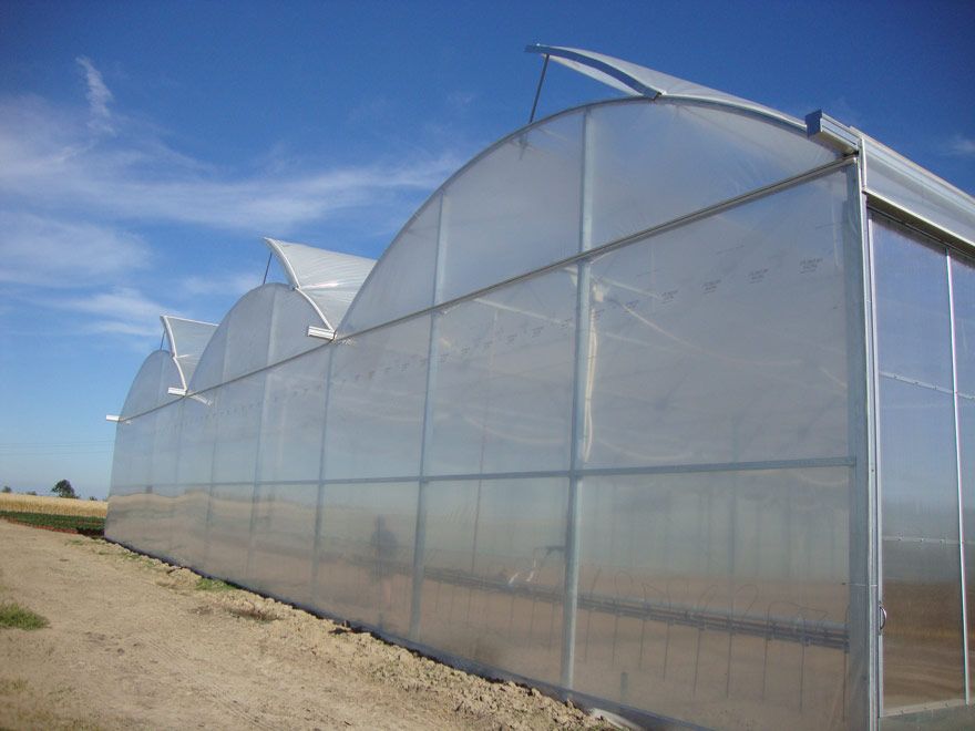 Serre professionnelle pour cultures hautes et suspendues