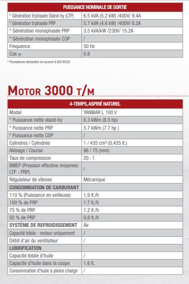 Ge SX-6500 YDT Groupe électrogène diesel YANMAR L 100 V - 50 Hz - 6.5 kVA triphasé / 3.5 kVA monophasé - Réservoir 23L_2