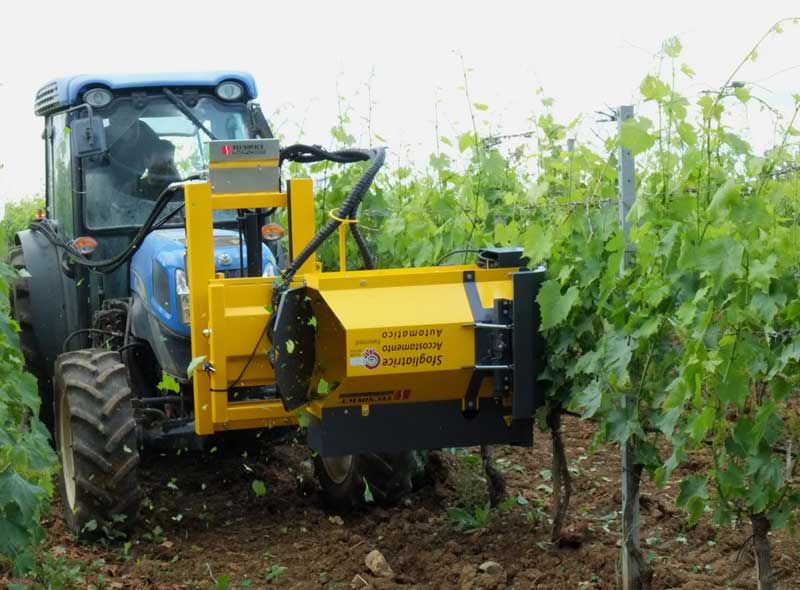 Effeuilleuse mod. 111 AA et AA-REV - Tecnovict - poids 210 kg - réglages personnalisés et performances avancées_2