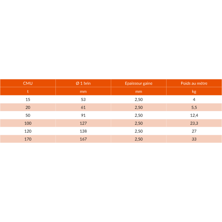 Élingue en textile à haute résistance - Grizzly - REF : 16200 - 15t à 170t - HMPE - Conforme NF EN 1492-2+A1_2