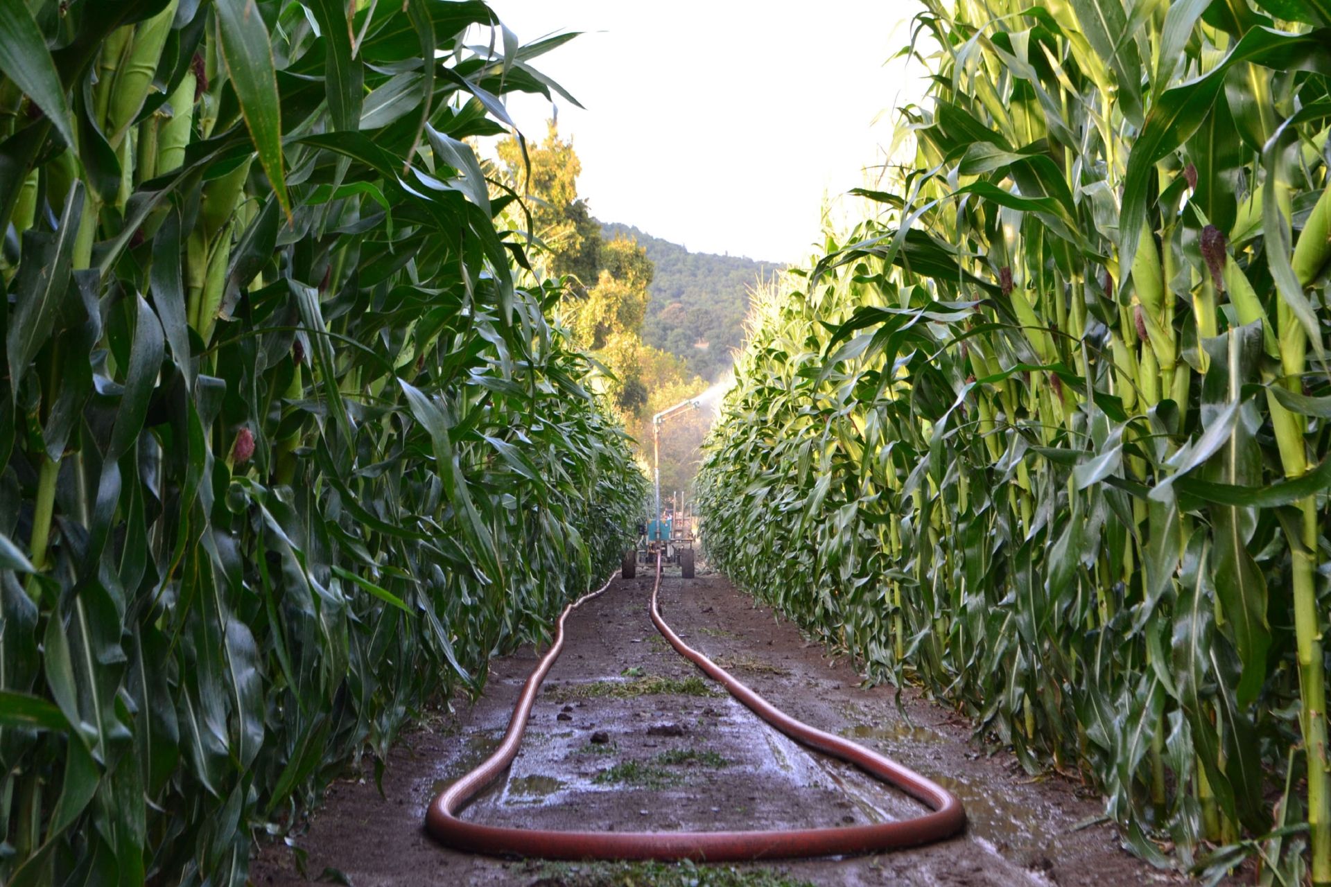 Irriforce mico - enrouleur d'irrigation - mehmet yüzüak - vitesse : 12 m3/heure - td-2000-300_2