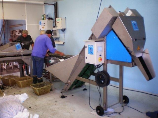 Ensacheur à huîtres et coquillages manuel ou automatique - pesée de 20 grammes, godets 15 ou 20 kg, Inox 316 L_2