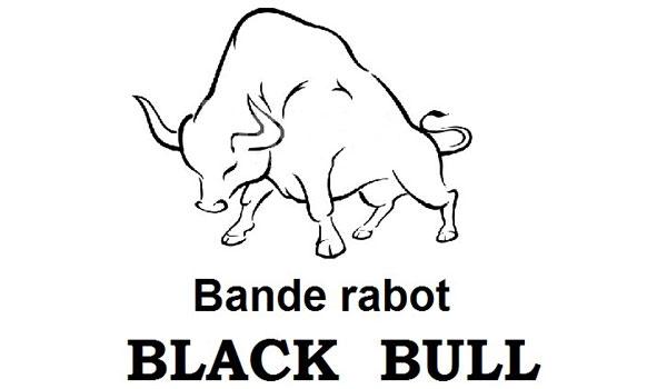 Bande de raclage Black Bull - BA Industry - renforcée avec double armature textile et haute résistance à l'abrasion_2
