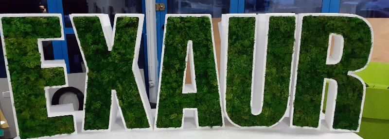 Lettres et/ou logo en polystyrène 3D et lichen scandinave - noir_3