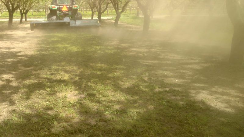 Trn broyeur forestier - TMC Cancela - largeur de travail 300 à 450 cm - puissance mécanique 60 à 200 HP_2