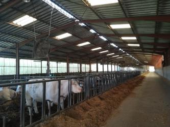 Ventilateur économique et puissant pour élevage Agriest Abbifan XXP