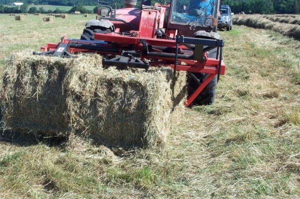 Carolev 2403 F - Manipulateur de bottes rectangulaires - Bugnot - châssis fixe en forme de L couché pour télescopiques_2