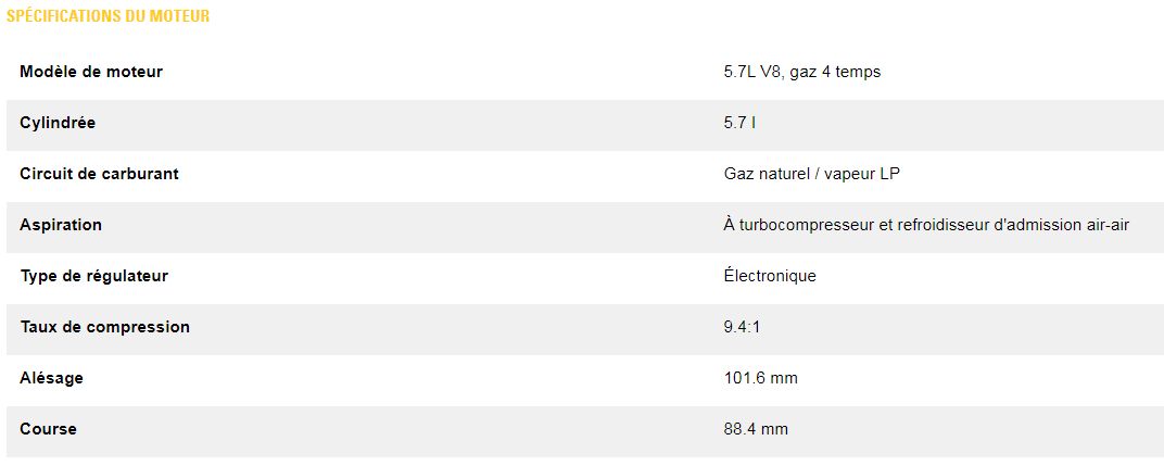 Dg100-2s (monophasé) groupes électrogènes industriel à gaz - caterpillar -  classification gaz naturelle 90 kw à 100 kw_2