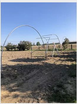 Serre tunnel professionnelle spécial fruits rouges - Largeur 6m - Serres Natural_2