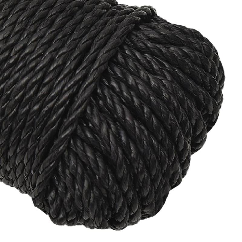 Vidaxl corde de travail noir 6 mm 50 m polypropylène 153002_2