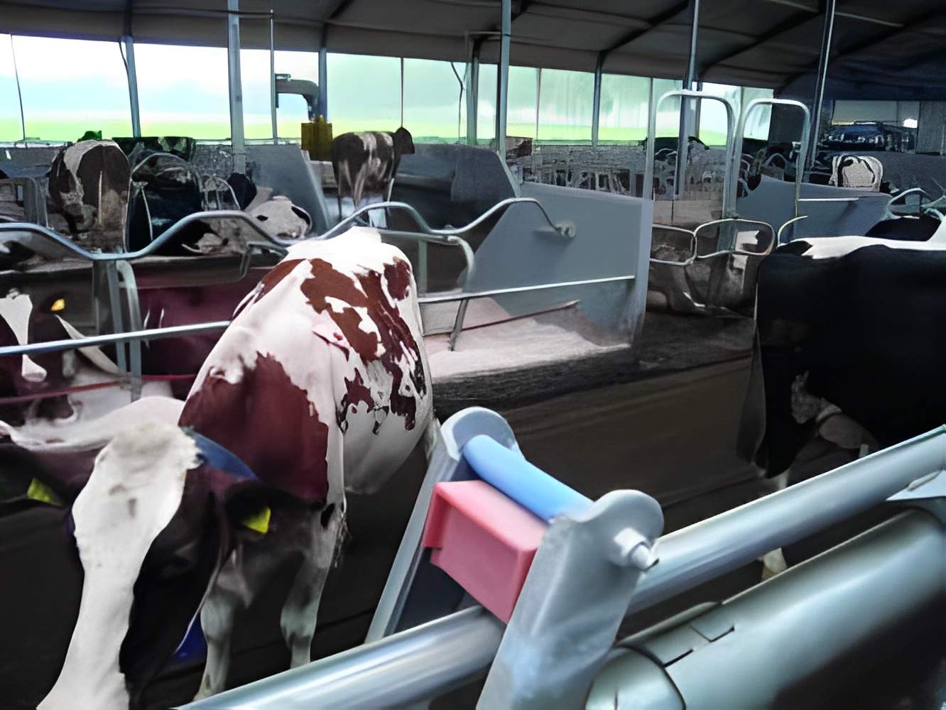 Matériau de coffrage sans entretien, idéal pour bâtiments agricoles