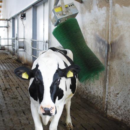 Brosse rotative verticale pour le nettoyage, le soin de la peau et le pelage de la vache - AGRICOW_2