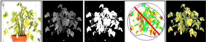 Phenoaixpert - phénotypage - lemnatec_2