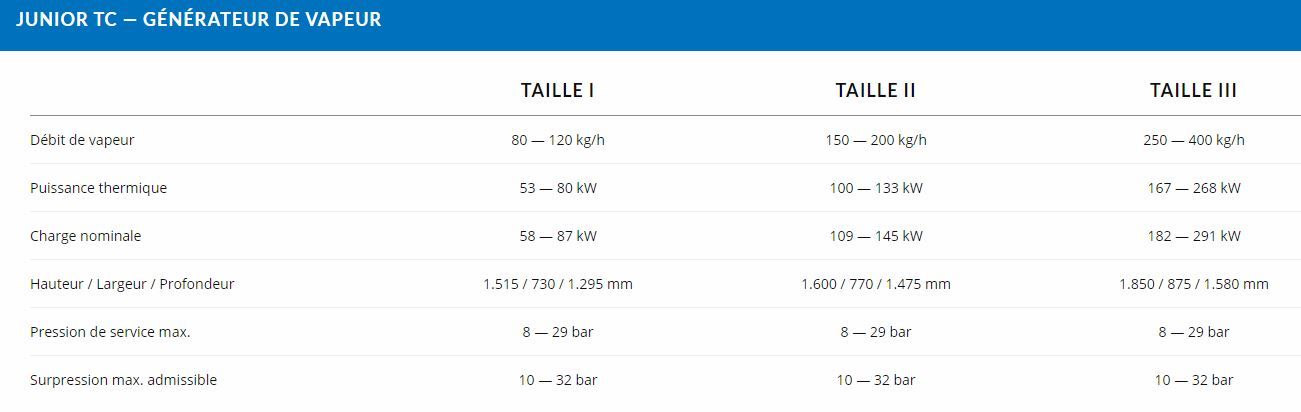 Junior TC Taille I - Générateur de vapeur CERTUSS - Débit de vapeur 80 à 120 kg/h - Grande efficacité énergétique et faible encombrement_2