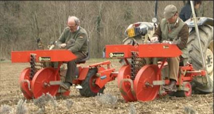 Foxdrive Plus - Planteuse Checchi & Magli - Distance entre lignes 50 à 90 cm, semi-automatique à pinces_2