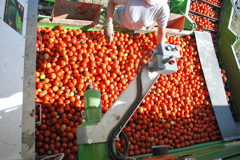 Récolteuse Super G 150-48