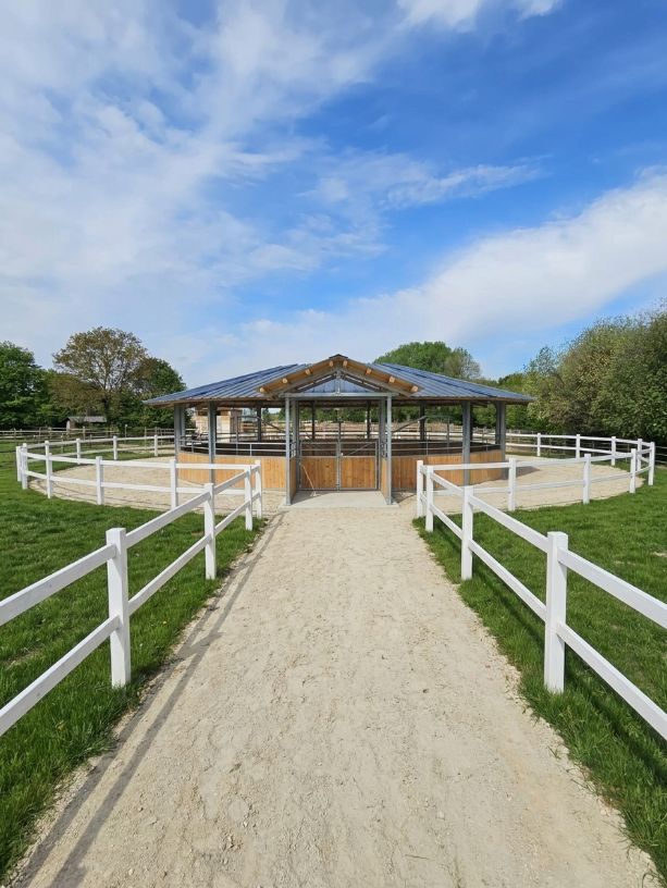 Marcheur pour chevaux_2
