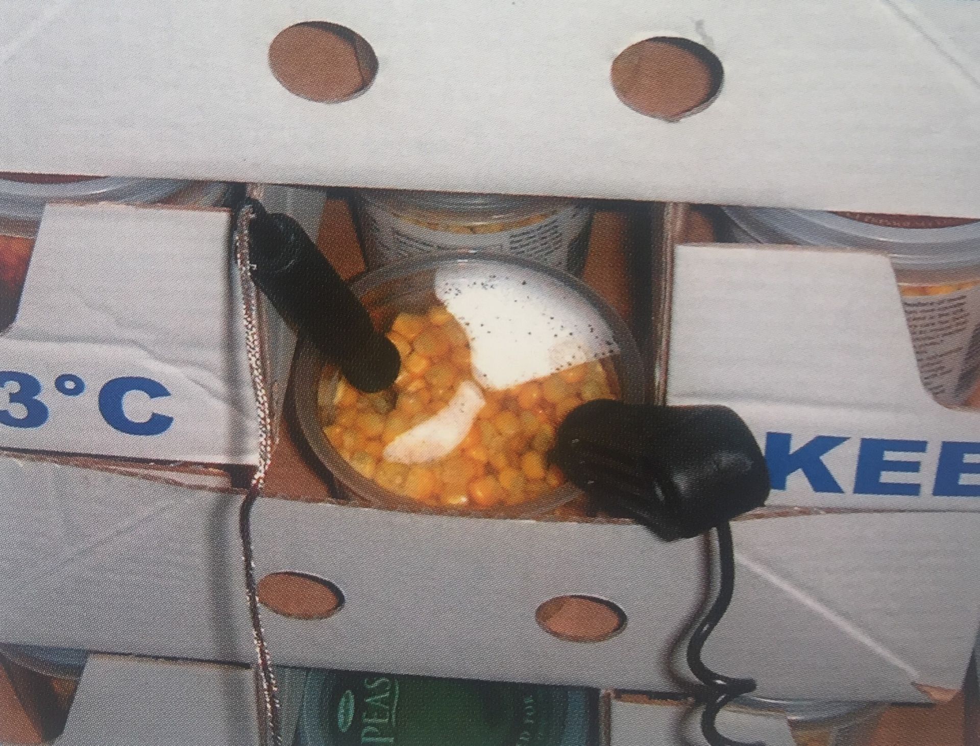 Chambre de temperage la décongélation de produits_2