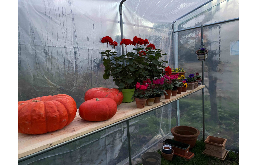 Serre de jardin modulable, idéale pour les semis de printemps - 2m00 x 2m70 - PRIMEUR_3