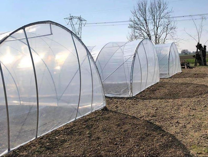 Serre tunnel  à travée unique - Montage et démontage rapides - conçue pour la Production horticole - Tunneleasy_2
