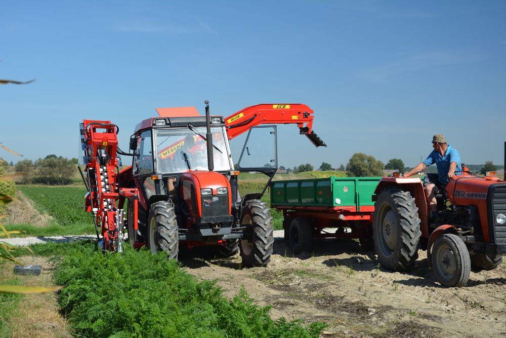 Récolteuse à carottes Alina Eco II - Weremczuk - 0,06 à 0,10 ha/h - 75 ch - légumes racines_2