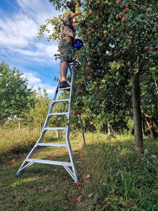 Plateforme de cueille - 4,1m - 1.64x1.05x1.42 - 8,4 kg - Fabrication Française - Référence 872011_2